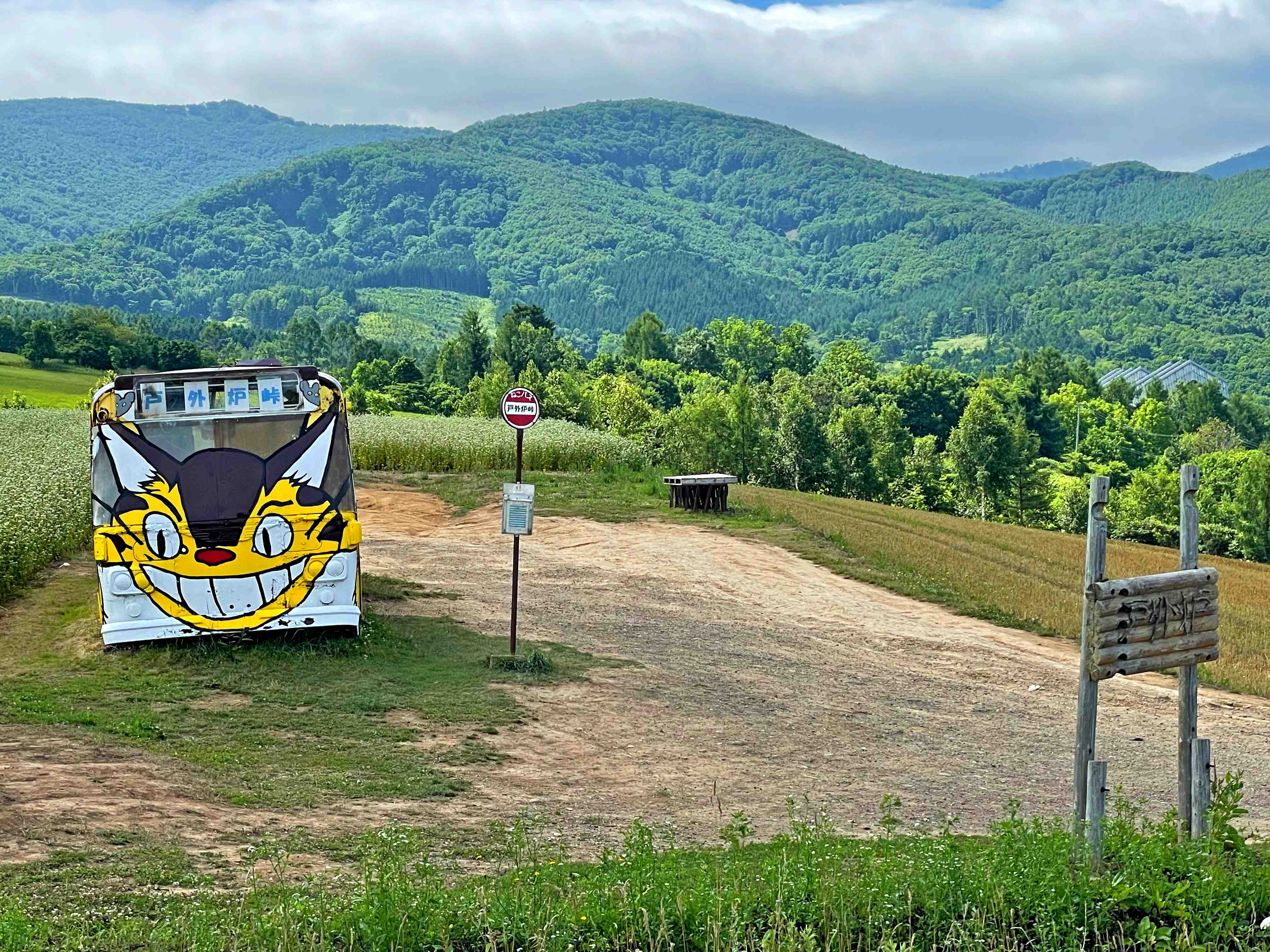 🚌 토토로 고개의 네코버스(토토로토게노네코바스) 이미지 4